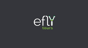 Efly Tours - Hosamalapanagudi - Hospet Image