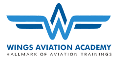 Wings Aviation Academy - Kollam Image