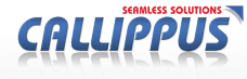 Callippus Seamless Solutions Image