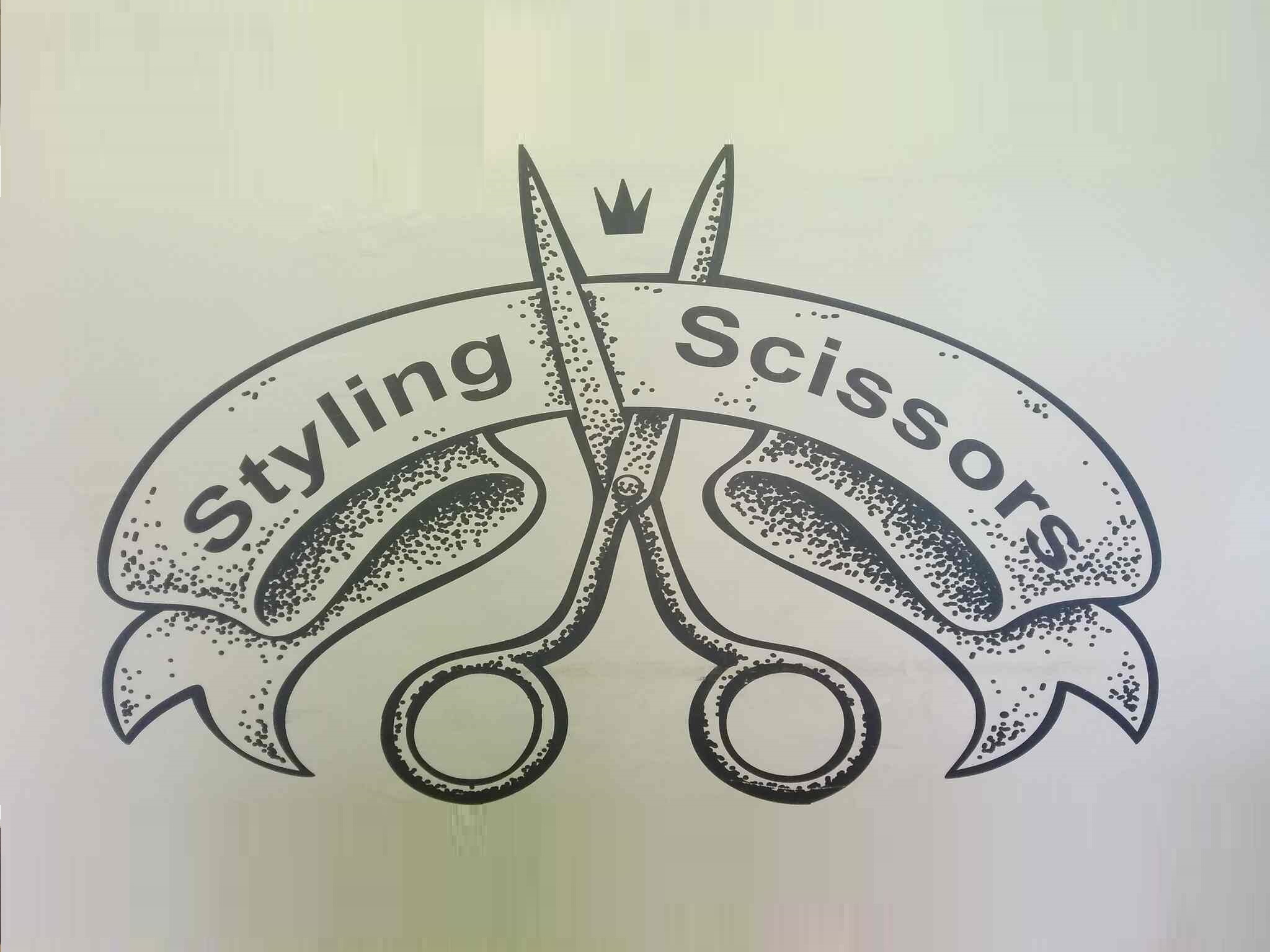 The styling scissors Salon - Kanpur Image