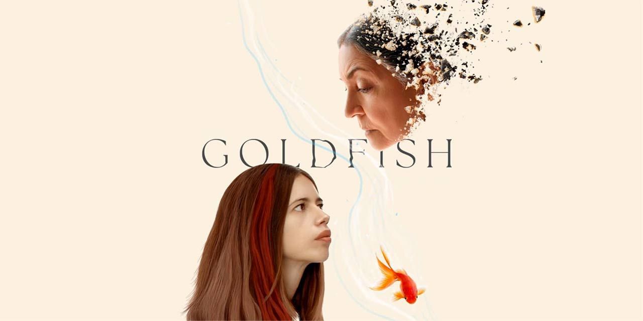 Goldfish Image