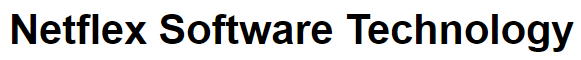Netflex Software Technologies Image