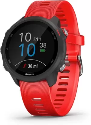 Garmin Forerunner 245 Smartwatch Image