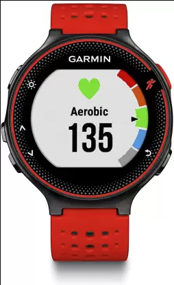 Garmin Forerunner 235 Smartwatch Image