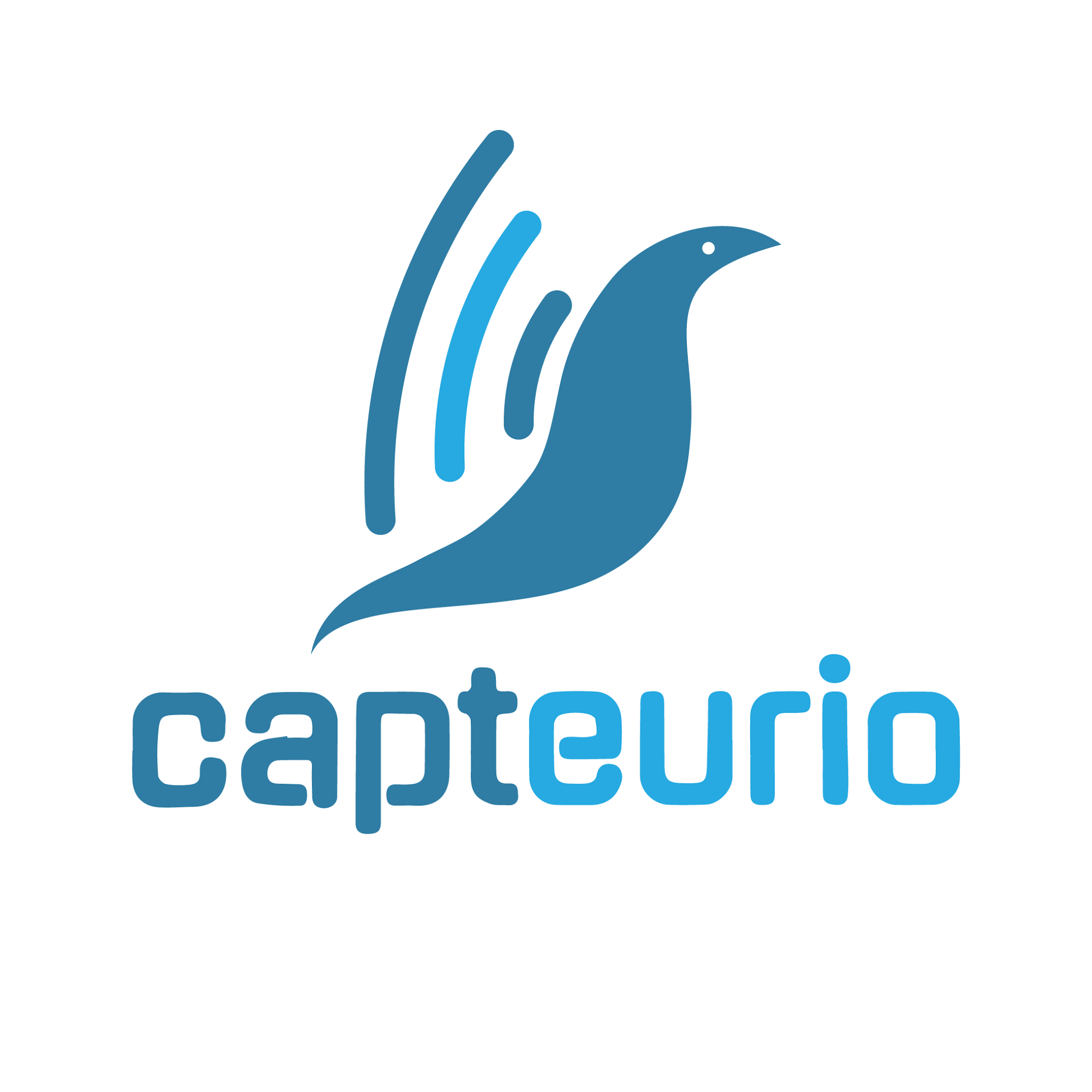 Capteurio Image