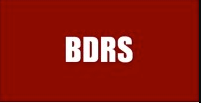 BDRS and Associates Image