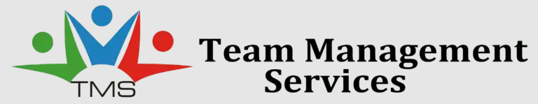 Team Management Services Image