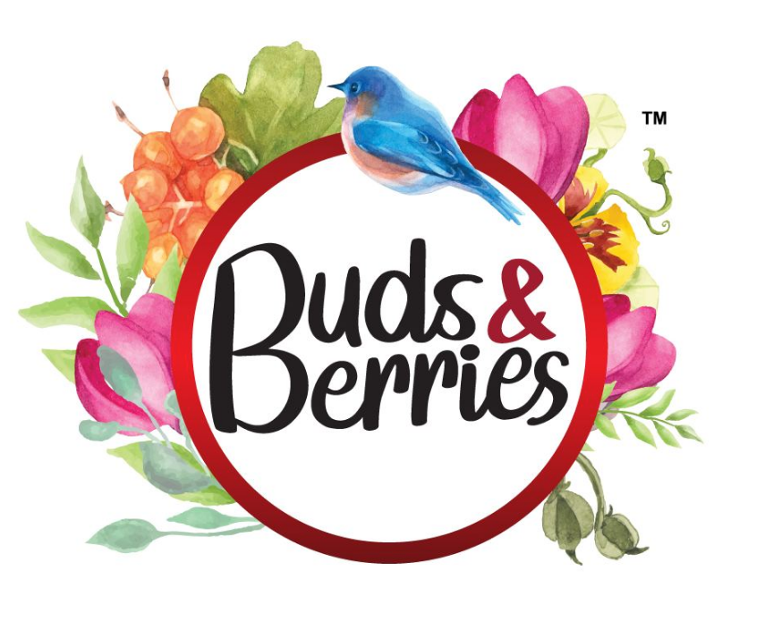 Buds And Berries Image