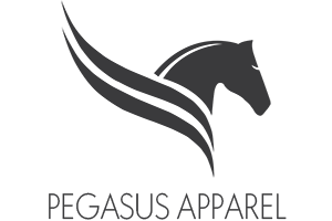 Pegasus Image