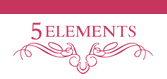 5 Elements Footwear Image