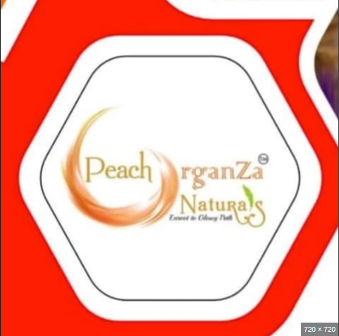 Peach Organza Naturals Lipstick Image