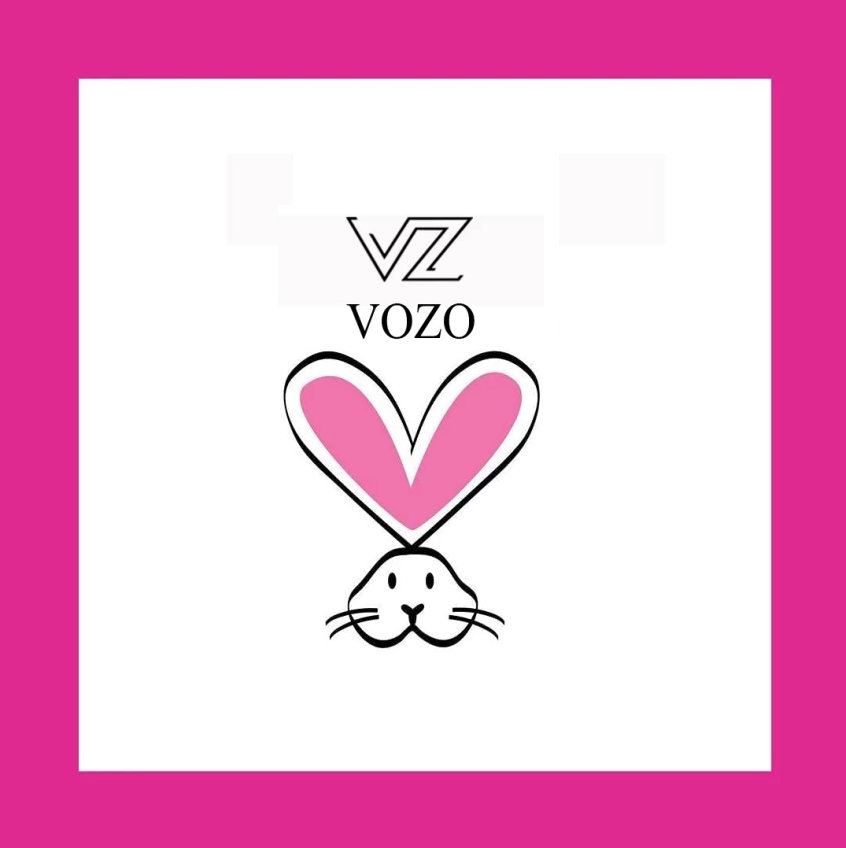 Vozo Lipstick Image