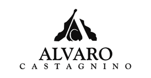 Alvaro Castagnino Bags Image