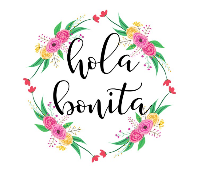 Hola Bonita Bags Image