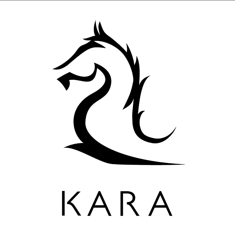 Kara Bags Image