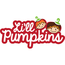 Li'Ll Pumpkins Bags Image