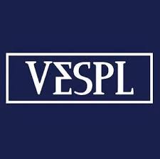 Vespl Sunglasses Image