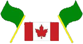 Green Flag Immigration Image