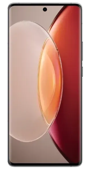 Vivo X110 Pro Image