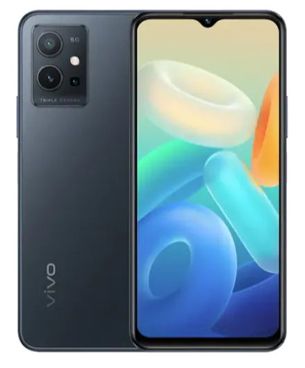 Vivo Y55 5G Image