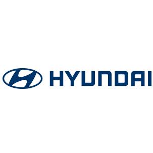 Bagga Link Hyundai Service Centre - Kirti Nagar - New Delhi Image