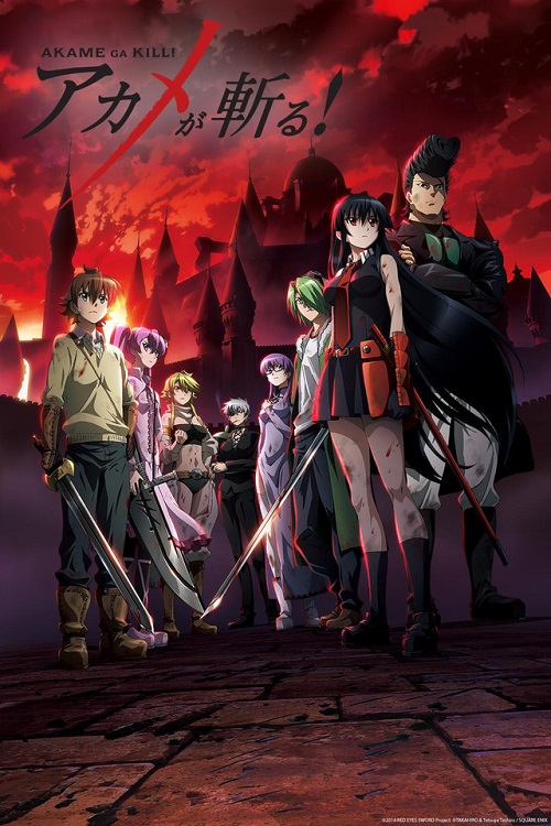 Akame ga Kill! Image