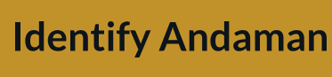Identify Andaman Tours - Dollygunj - Port Blair Image