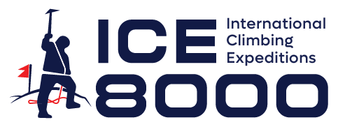 Ice8000 Image