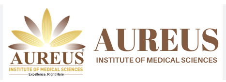 Aureus Institute of Medical Sciences - Nagpur Image