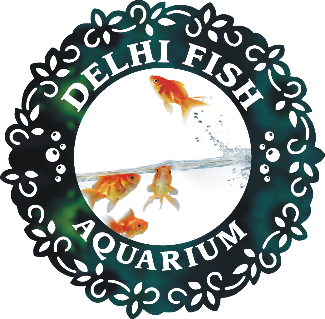 Delhi Fish Aquarium - Burari - Delhi Image