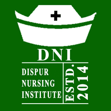 Dispur Nursing Institute - Guwahati Image