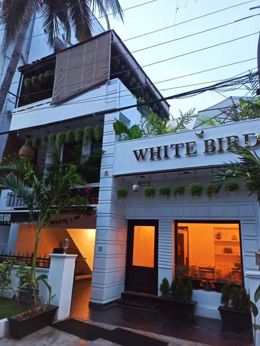 White Bird - Dilsukhnagar - Hyderabad Image