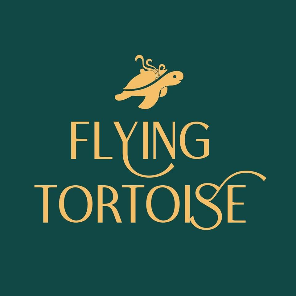 Flying Tortoise - Hitech City - Hyderabad Image