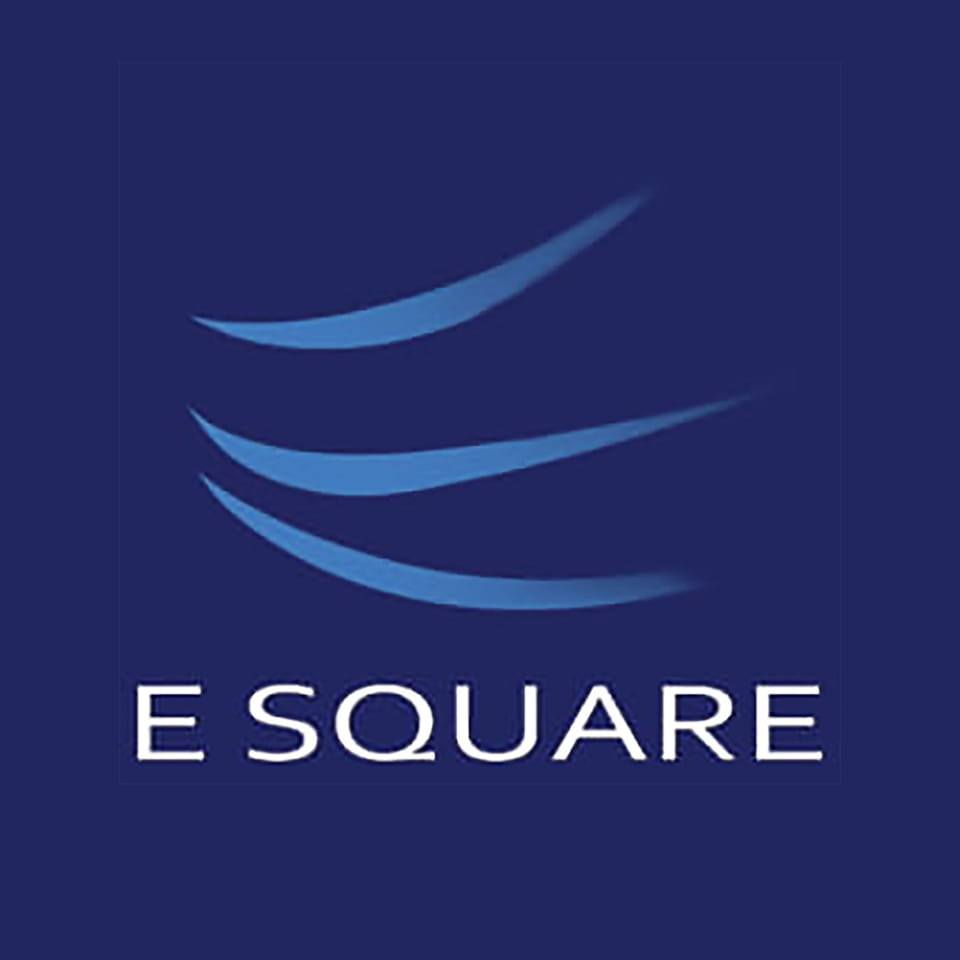 E Square System & Technologies Image