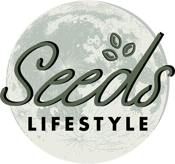 Seeds Lifestyle - Adyar - Chennai Image