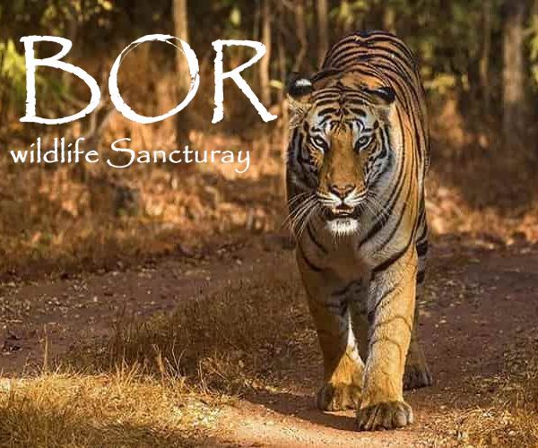 Bor Wildlife Sanctuary Image