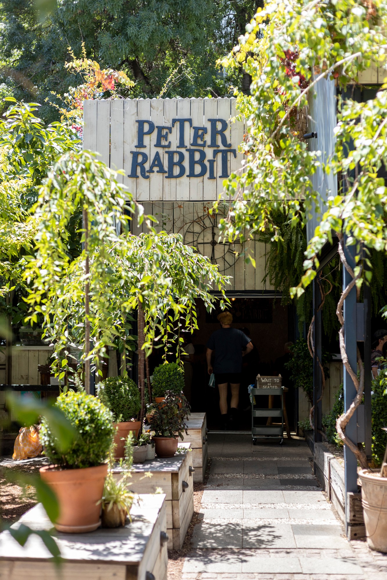 Peter Rabbit - Sector 10 - Chandigarh Image