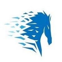 Blue Horse Tech Solution Image