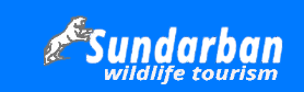 Sundarban Wildlife Tourism - Kolkata Image