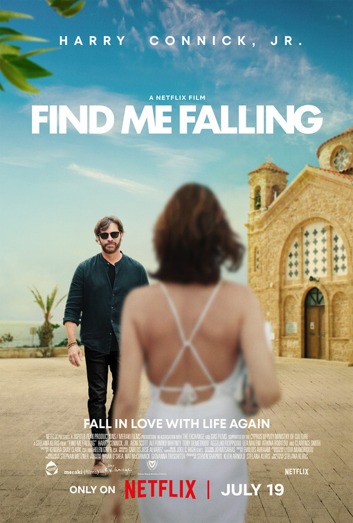 Find Me Falling Image