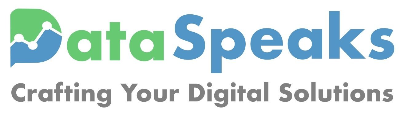 DataSpeaks Services Image