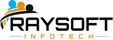 Raysoft Infotech Image