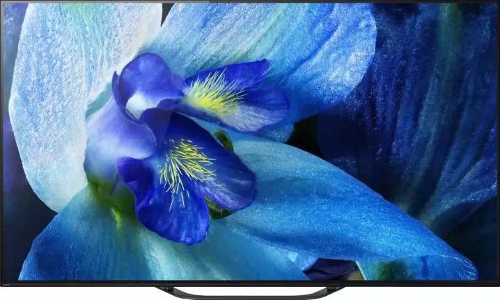 Sony Bravia A8G 138.8cm (55) 4K OLED Ultra HD Smart Android Based TV (KD-55A8G) Image