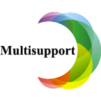 Multisupport Image