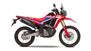 Honda CRF300 Rally Image