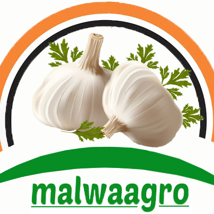 Malwa Agro Image