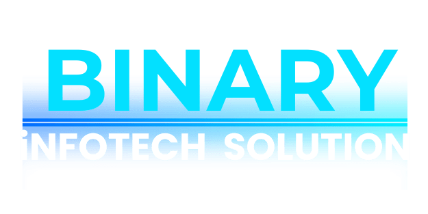 Binary Infotech Solution -- Begambagh - Meerut Image