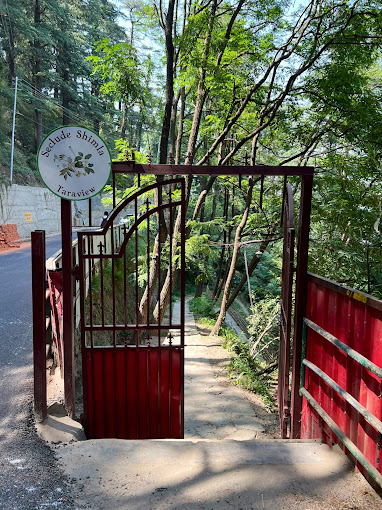 Seclude Shimla Taraview - Kasumpti - Shimla Image