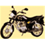 Kawasaki Caliber Image