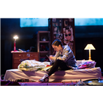 Liar Liar - Drama & Theatre / Plays